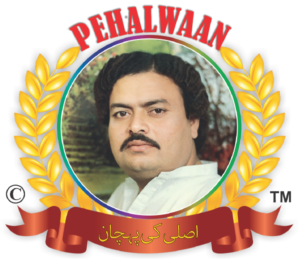 Pehalwaan Rewri logo